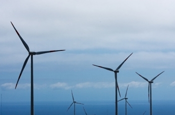 Singapore investors lost $ 60 million in Ninh Thuan making wind power